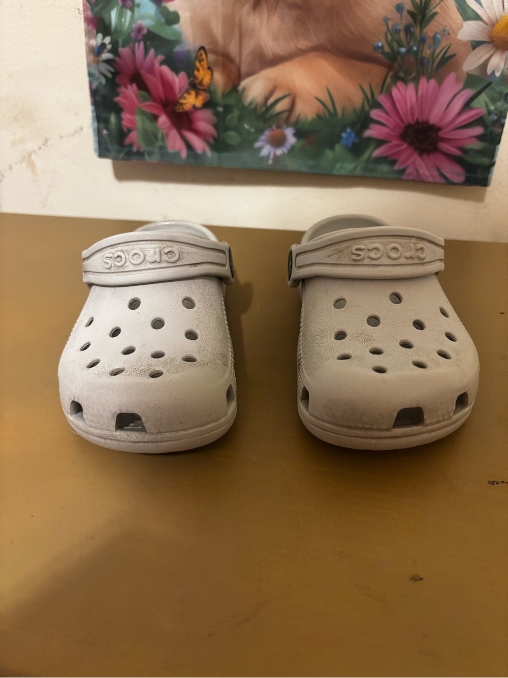 CROCS Kids Classic Clog in Light Gray C8